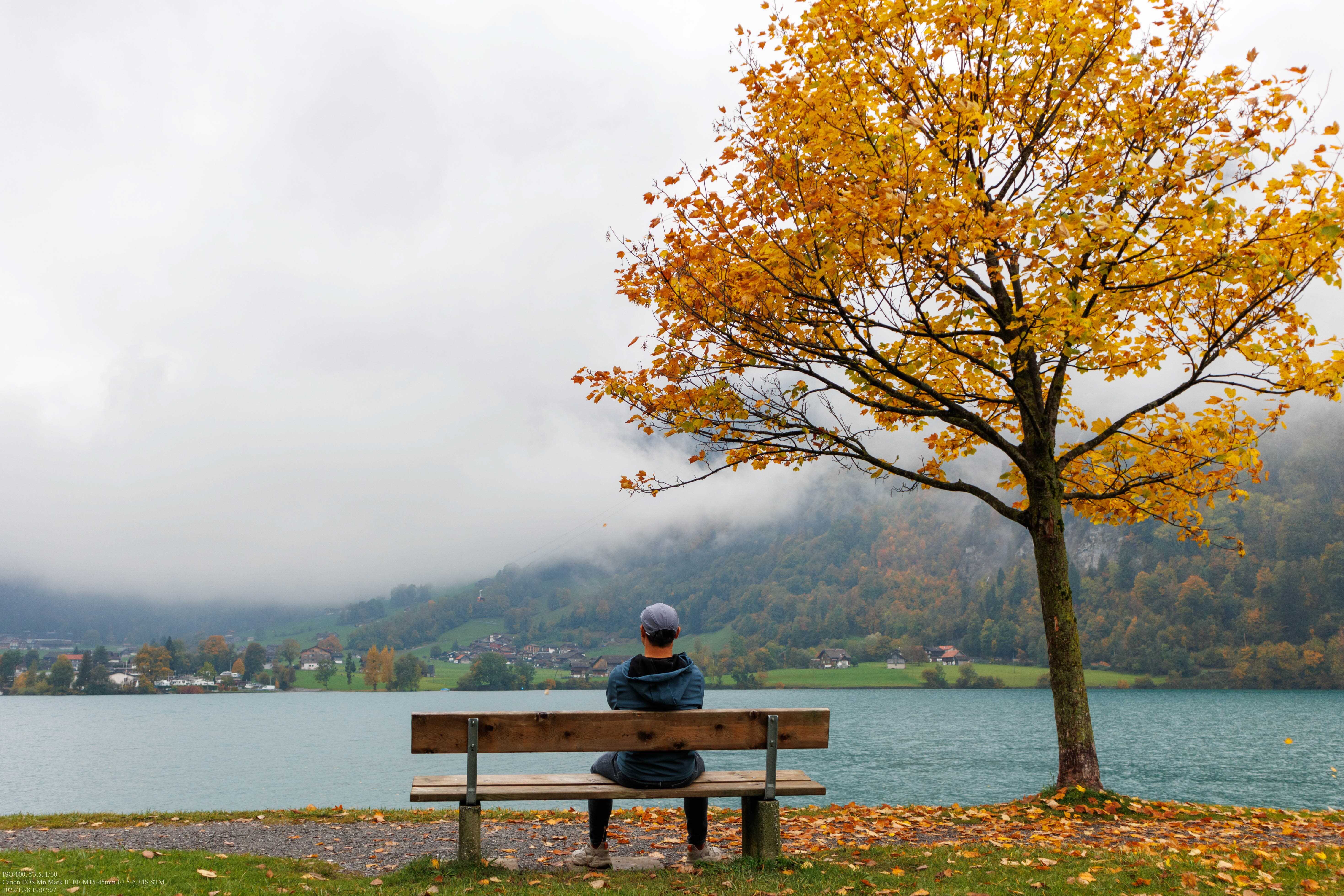 一人独乐乐,瑞士