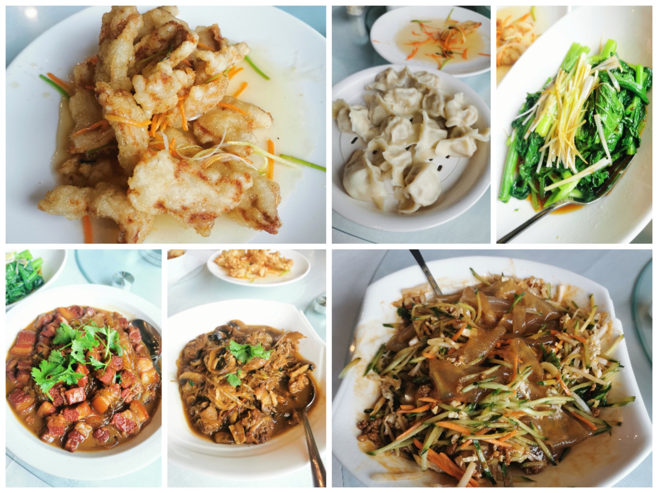 丰盛的午餐😋依次为: 锅包肉、饺子、时蔬、猪肉粉条、炖鸭和凉拌凉皮